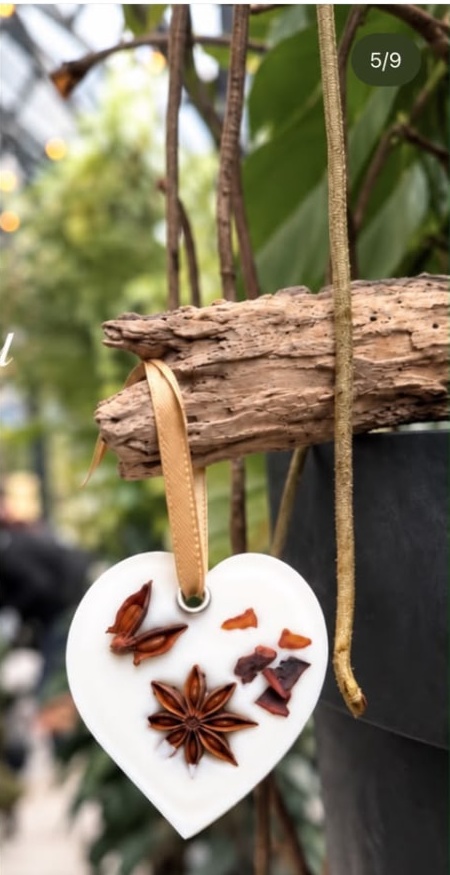 A heart-shaped solid air freshener with star anise and dried citrus, hanging from a branch among plants
