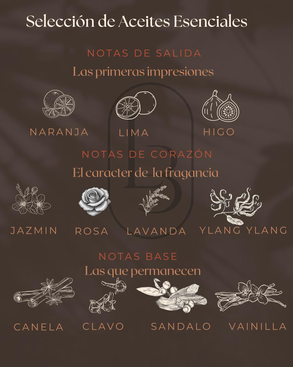The Lumara Botanic selection of essential oils: top, heart and base notes